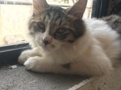 -五月木作·DIY木作文创体验店(北京路店)