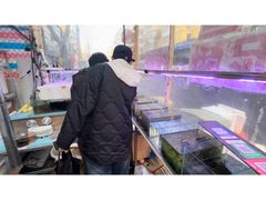 -哈尔滨道外花鸟鱼市场