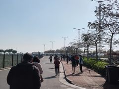 -海鸥岛