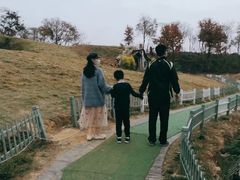 -大塘金香草谷