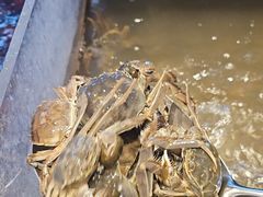 -加勒比阳光环球美食自助(凯德店)