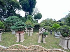 -拙政园