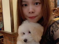 -more than meow吴止猫主题餐厅(承德 中船汇店)