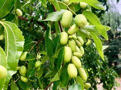 -梁家河村红色旅游区