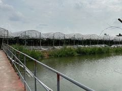 -马陆小张葡萄园农家乐