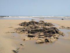 -日照海滨国家森林公园