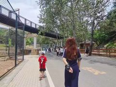 -大连森林动物园