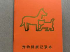 -东方名猫馆·英短金渐层布偶猫舍(环线广场1号楼店)