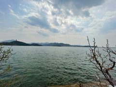 -望湖烤鱼