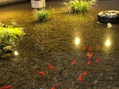 -几荷·恰似故人来(秀水广场店)