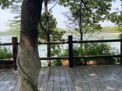 -天目湖山水园