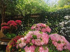 -惠山古镇·寄畅园