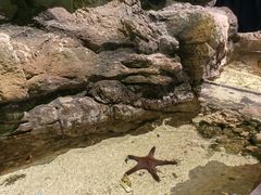 -江和美海洋公园