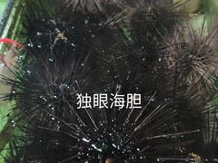 海胆-万尾农贸市场