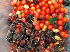 -沈阳辉山风景区