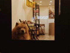 -微热山丘(台北民生公园门市店)