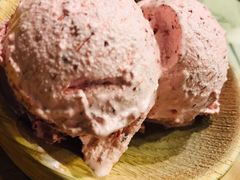 -野人牧坊Gelato(天津南开大悦城店)