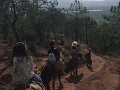 山路-云端彼岸马场
