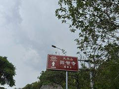 -上海佘山国家森林公园天马山园