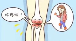 -香薇妮丝女子减肥院