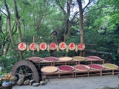 -天目湖山水园