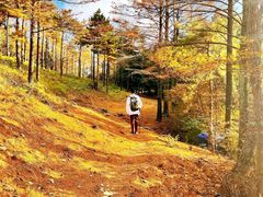 -四明山国家森林公园