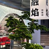 诸暨新开的！！好好吃！！