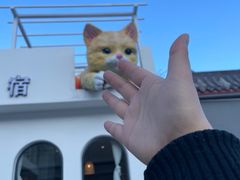 -何适山庄 ·可团建(水长城P2停车场店)