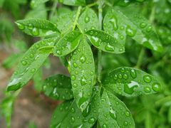 -南京市江宁方山