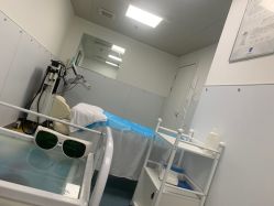 -温州伯思立医院