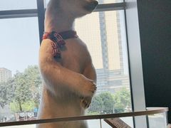 -魏客咖啡(中铁中心店)