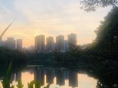 -重庆彩云湖湿地公园