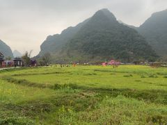 -靖西鹅泉风景区
