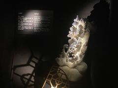 -深圳珠宝博物馆