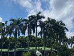 -侯臣咖啡文化村