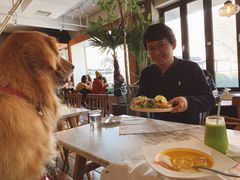 -the rug 飞毯 (朝阳公园店)