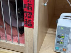 -谐和益家动物医院·免疫绝育·血液透析·宠保定点医院(高新伊藤分院)
