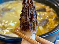 -菌海森林·非遗野生菌火锅(西山区滇池路摩根道店)