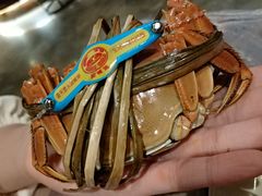 -巴厘龙虾·榜首油焖大虾(音乐学院·沿江酒馆店)