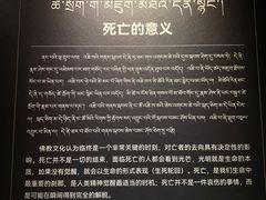 -青海藏文化博物院