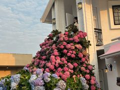 -Blue Concept Cafe&Farm·關於藍