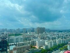 -松树干拌面店