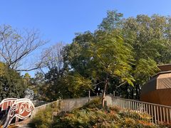-宁波儿童公园(鄞州区)