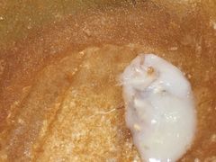 -石岐佬中山菜馆(张溪店)