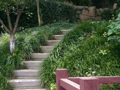 -白马涧龙池景区