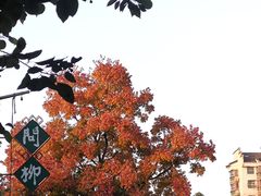 -老门东历史文化街区
