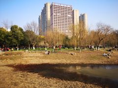 -堤角公园