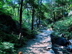 -大岭沟猕猴桃谷风景区