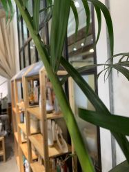 -M+hair salon专业造型沙龙