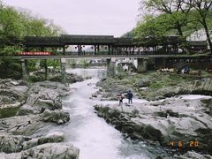 -鹿亭中村